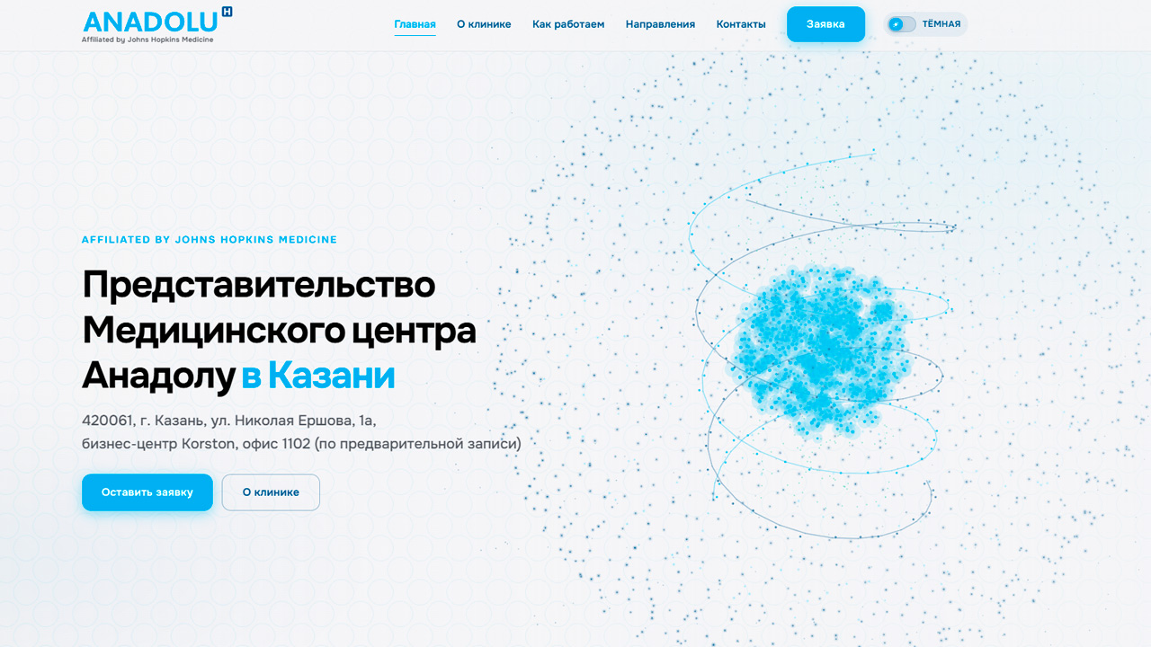Старая версия главной страницы представительства Anadolu